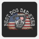 Search for shirt stickers America