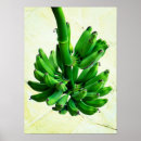 Search for tropical fruit photography Healthy