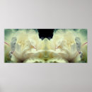Search for white bloom posters Photography
