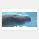 Search for cute manatee stickers Ocean