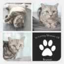 Search for cat stickers Cute