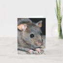 Search for house mouse cards Cute