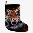 Search for tiger christmas stockings Jungle
