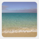 Search for turks and caicos stickers Walter bibikow
