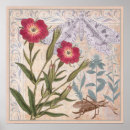 Search for grasshopper posters Vintage