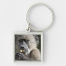 Search for nuts key rings Wildlife