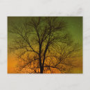 Search for aurora postcards Mike grandmaison
