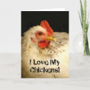 Search for rooster photography Chicken