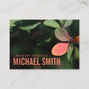 Search for fall business cards Nature