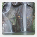 Search for rainforests stickers Africa