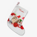 Search for wear christmas stockings Cat