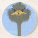 Search for ostrich barware Wildlife