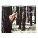 Search for wild calendars Arizona