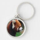 Search for red panda key rings Bear