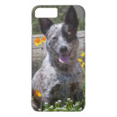 Search for sitting cases Dog