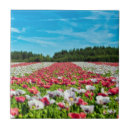 Search for poppy tiles Field of flowers