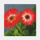 Search for gerbera daisy magnets Blue