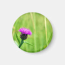 Search for common magnets Flower