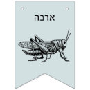 Search for passover party supplies Moses