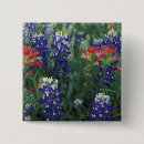 Search for bluebonnet badges Wildflower