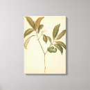 Search for panel canvas prints Decorative