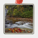 Search for cascades christmas tree decorations Autumn