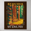 Search for california posters Sequoia national park