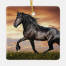 Search for horses christmas tree decorations Black horse