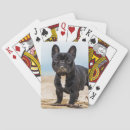 Search for frenchy playing cards Domestic animals