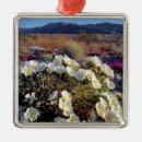Search for evening christmas tree decorations Arid