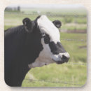 Search for looking at camera coasters Agriculture