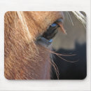 Search for sorrel electronics Equestrian