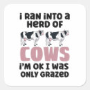 Search for herding stickers Cattle