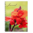 Search for red lily Lilies