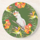 Search for big bird coasters Cute
