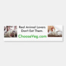 Search for vegetarians bumper stickers Pigs
