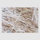 Search for barn tissue paper Modern
