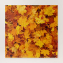 Search for golden puzzles Autumn