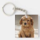 Search for puppies key rings Adorable