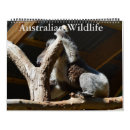 Search for koala calendars Kangaroo