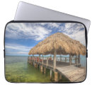Search for thatch electronics Thatched roof