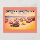 Search for galveston postcards Texas