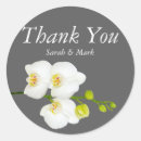 Search for white orchid stickers Grey