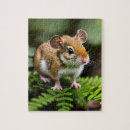 Search for mouse puzzles Wildlife