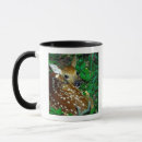 Search for cervus mugs Animal