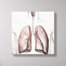Search for female body canvas prints Biomedical illustrations