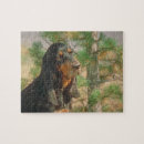 Search for coonhound puzzles Black and tan coonhound