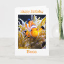 Search for tropical fish cards Sealife