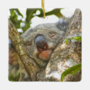 Search for cuddly christmas tree decorations Australia