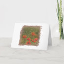 Search for bible verse matthew 6 cards God